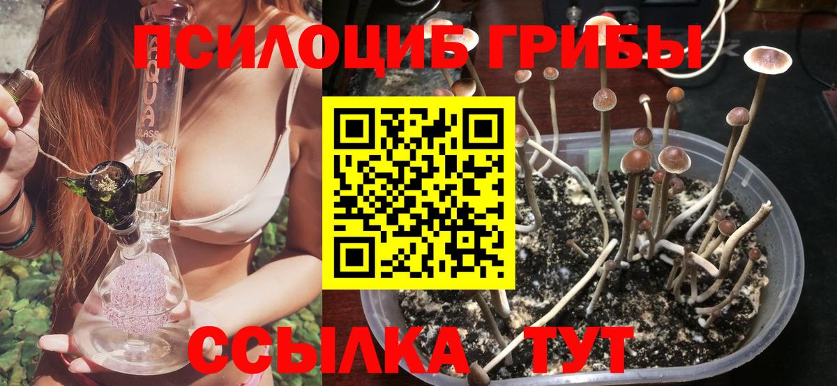 Торжок  Галлюциногенные грибы прущие грибы  цены   Вход с VPN 
