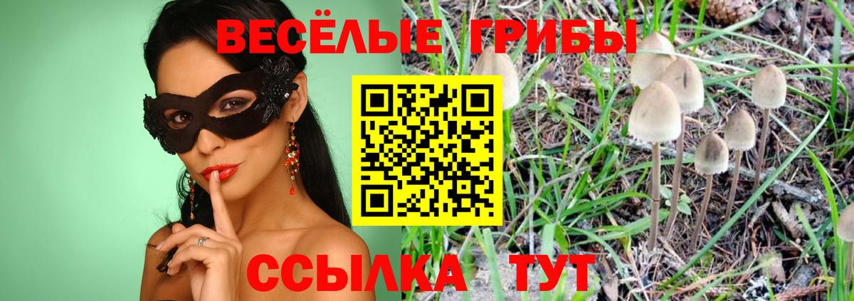 Псилоцибиновые грибы мухоморы Торжок